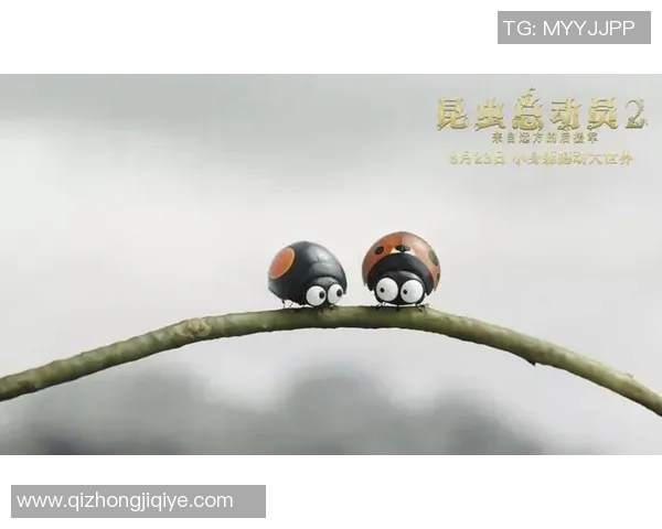 回归成谜,这位头号外接丢失已超2000万! 回归成谜,这位头号外接丢失已超2000万!